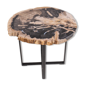 table salon bois pétrifié