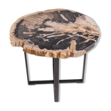 Table living room petrified wood