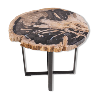 Table living room petrified wood