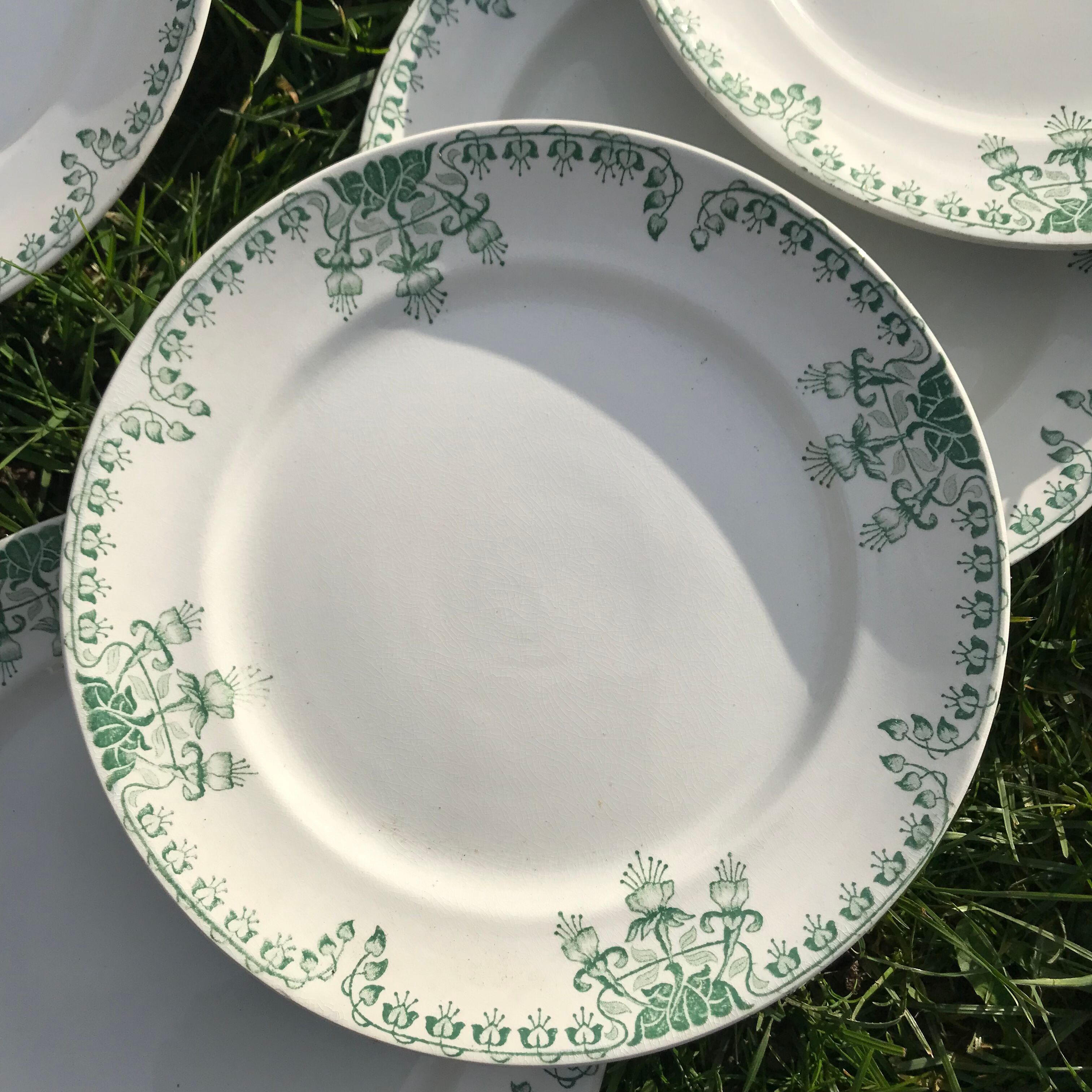Set of 10 vintage plates iron model Fushia / Onnaing