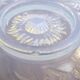 Plat coupe opalescente