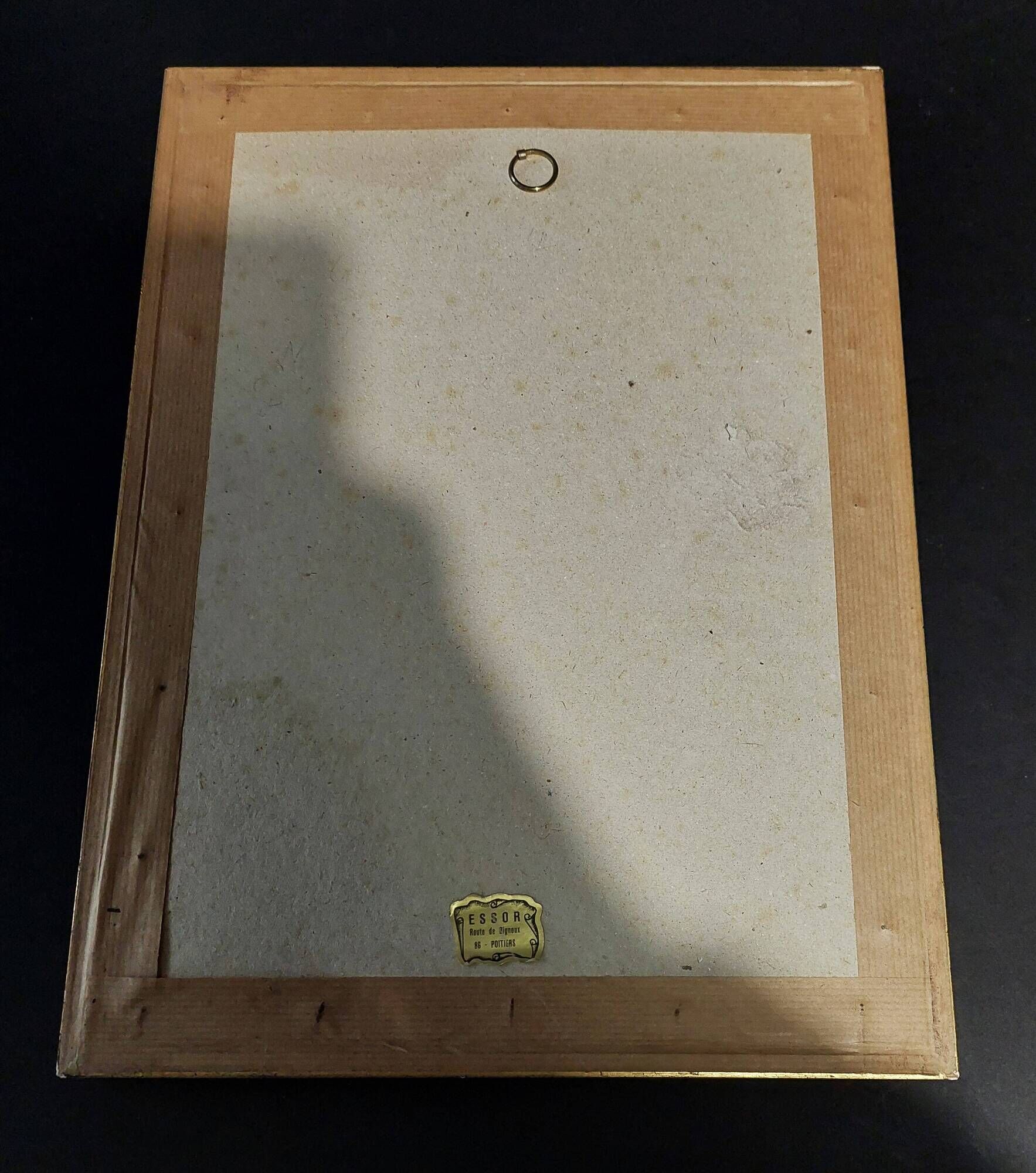 Framed fashion print journal des demoiselles 1904