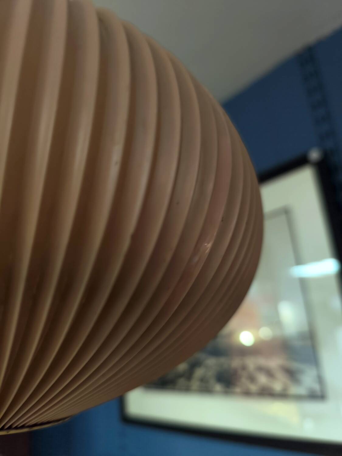 Rispal suspension in rhodoid circa 1950