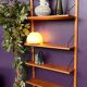 Modular shelving unit “Royal System” by Poul Cadovius, dating from the 1950s.