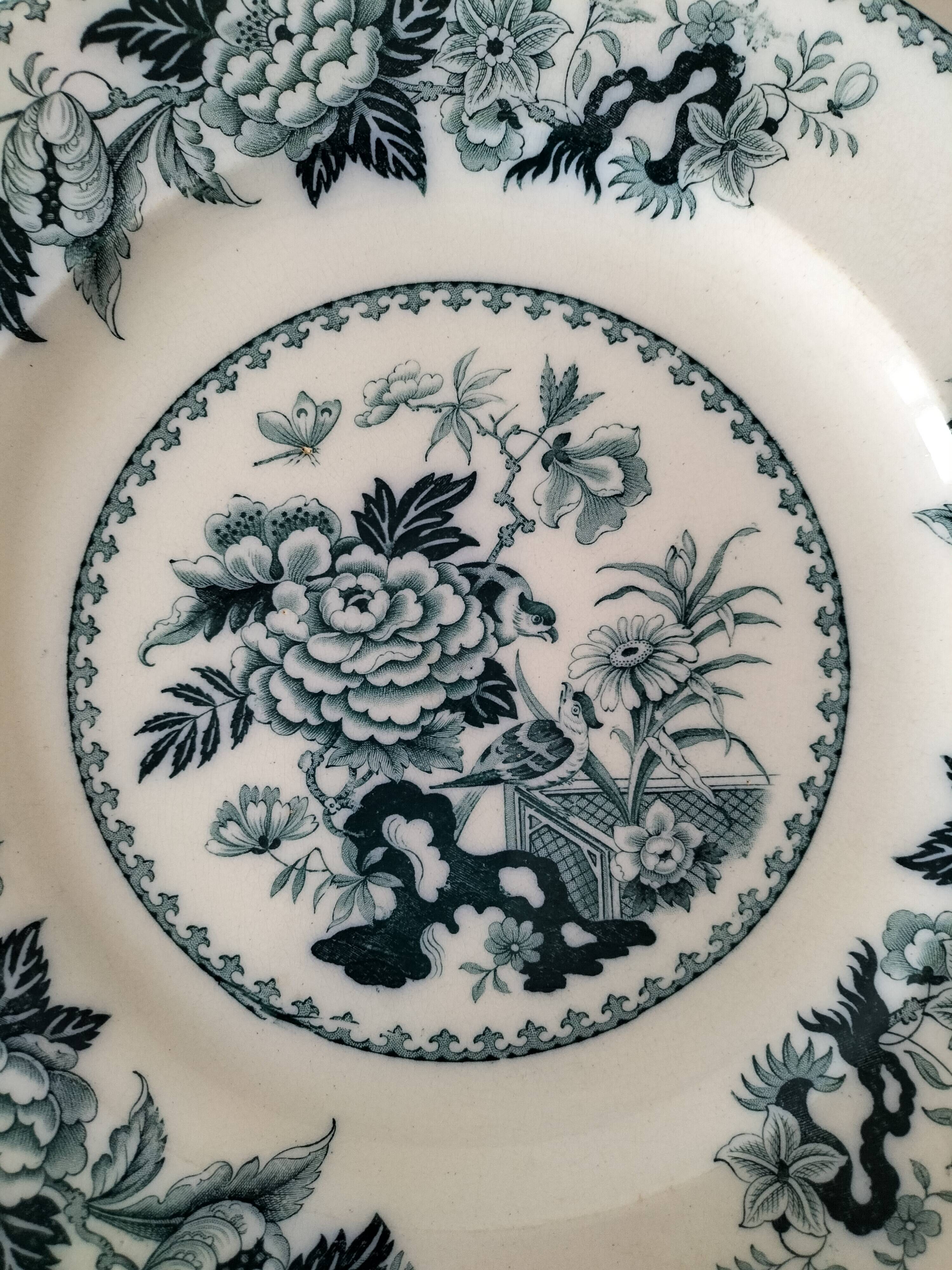 Vintage Wedgwood Bullfinch Plates