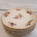 Set of porcelain dessert plates with flower patterns
