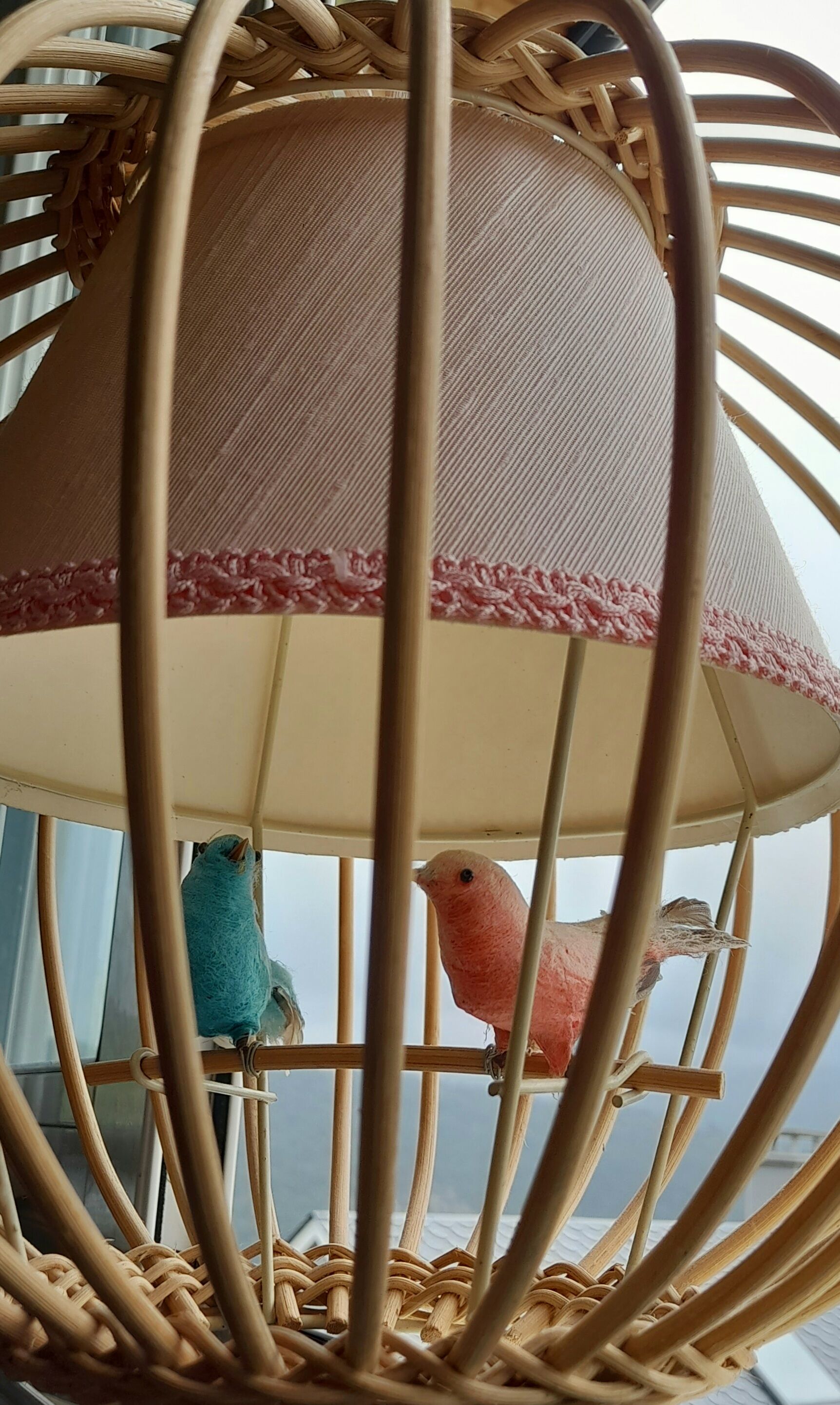 Suspension rattan bird cage 1960