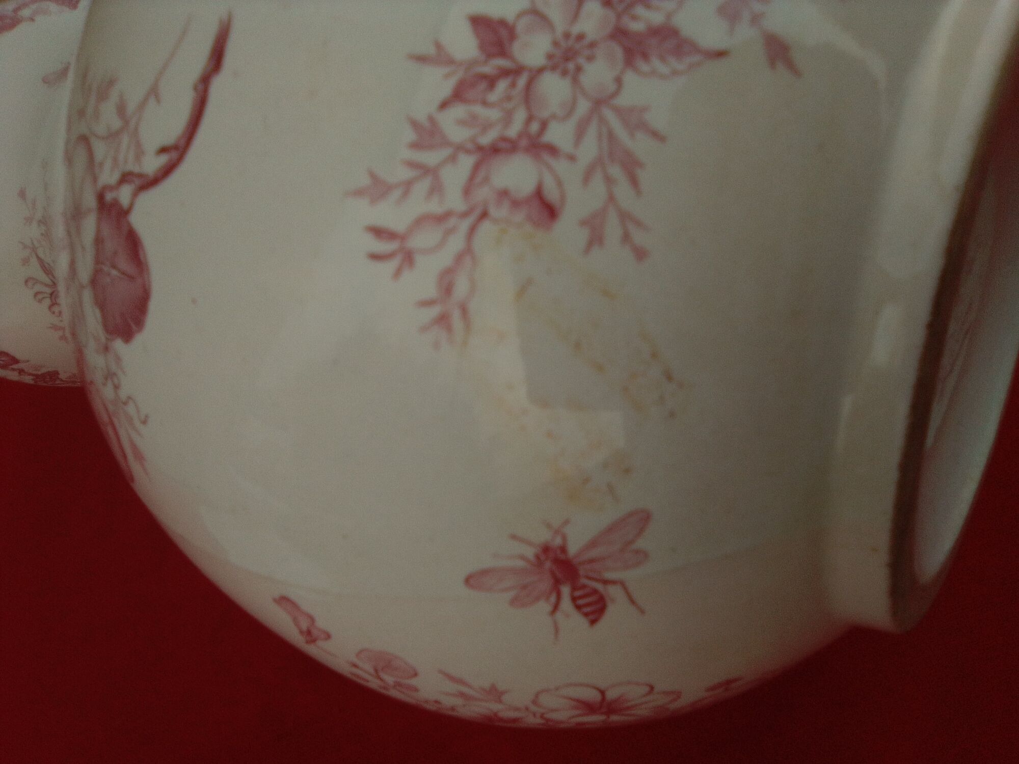 Toilet broc in earthenware f f pexonne butterfly model h 28 cm