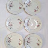 6 porcelain dessert plates