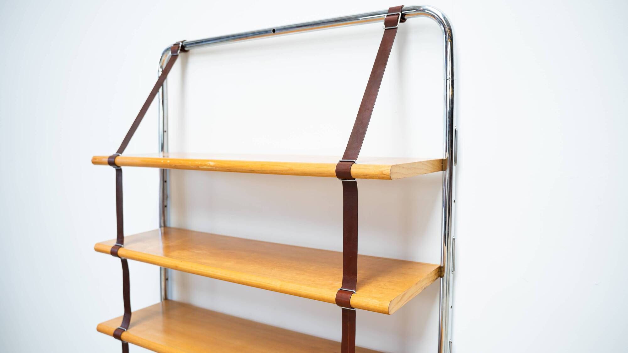 Jumbo Bookcase by Luigi Massoni for Poltrona Frau