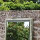 Large antique bevelled mirror in carved solid wood, green lizard – 129 × 75