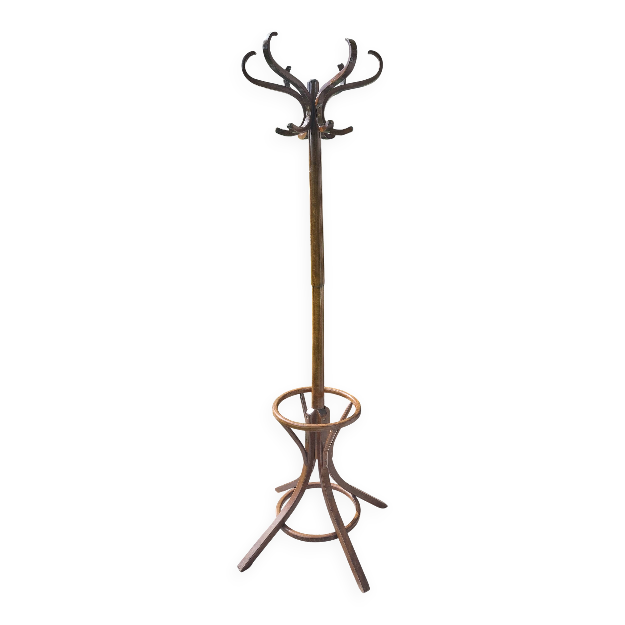 dark-coloured wooden coat rack parrot