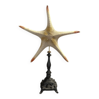 Starfish on pedestal