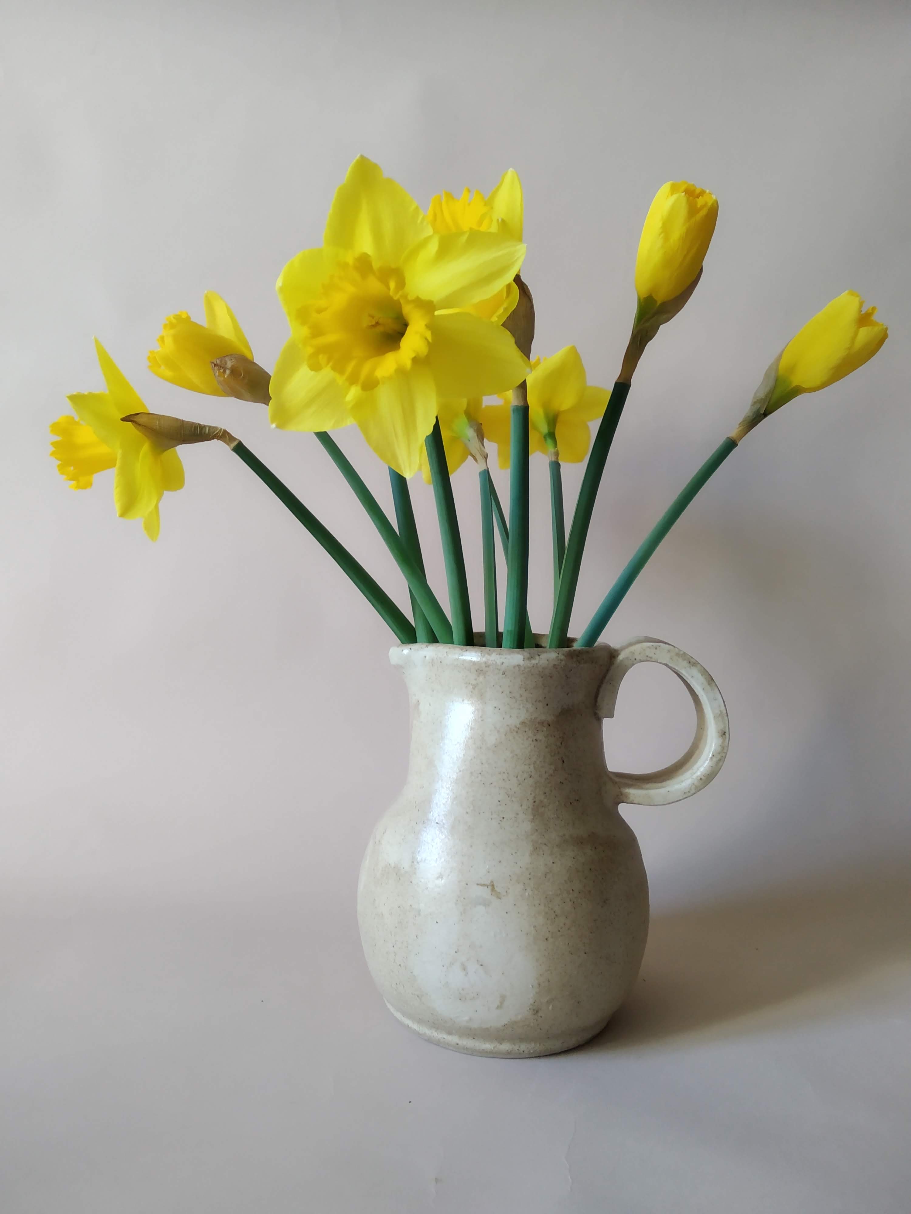 Céramique Les Argonautes Vallauris 1960