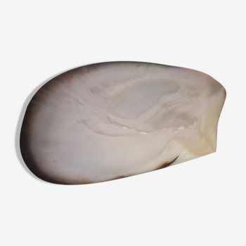 Beautiful empty mother-of-pearl pocket