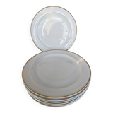 Limoges porcelain plates