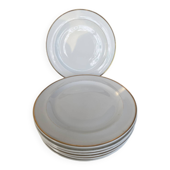 Limoges porcelain plates