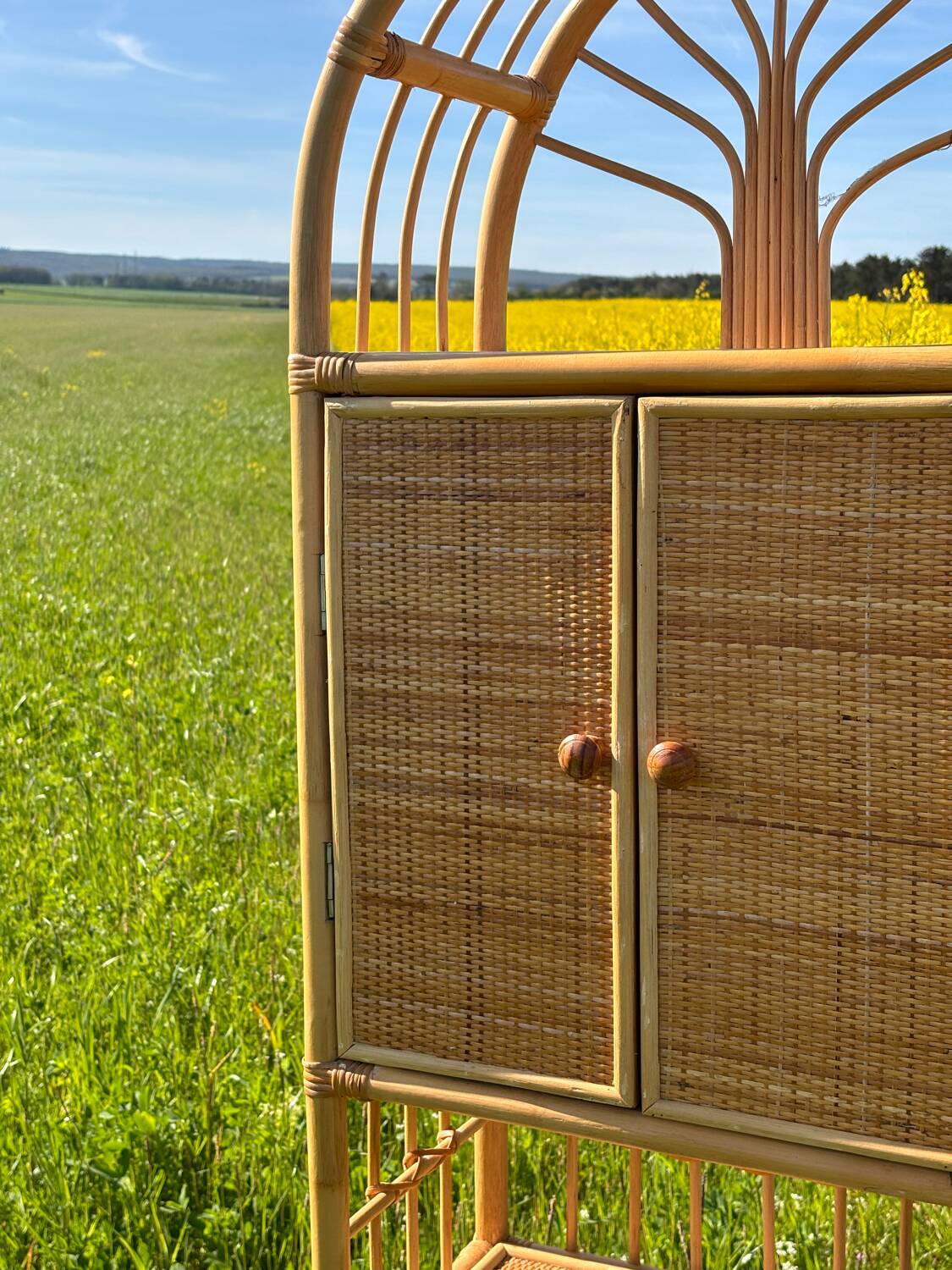 Storage unit, rattan bookcase, 1970