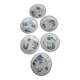 6 flat plates Terre de Fer, 19th century – Digoin & Sarreguemines