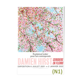 Damien Hirst poster