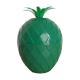 Vintage ice pineapples