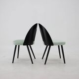 Ensemble de quatre chaises de salle à manger Antonin Suman des années 1960, Tchécoslovaquie