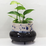Pot saucer
