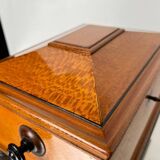 Historicism Box in Floral Ash Veneer and Rosewood, Austria, 1880s