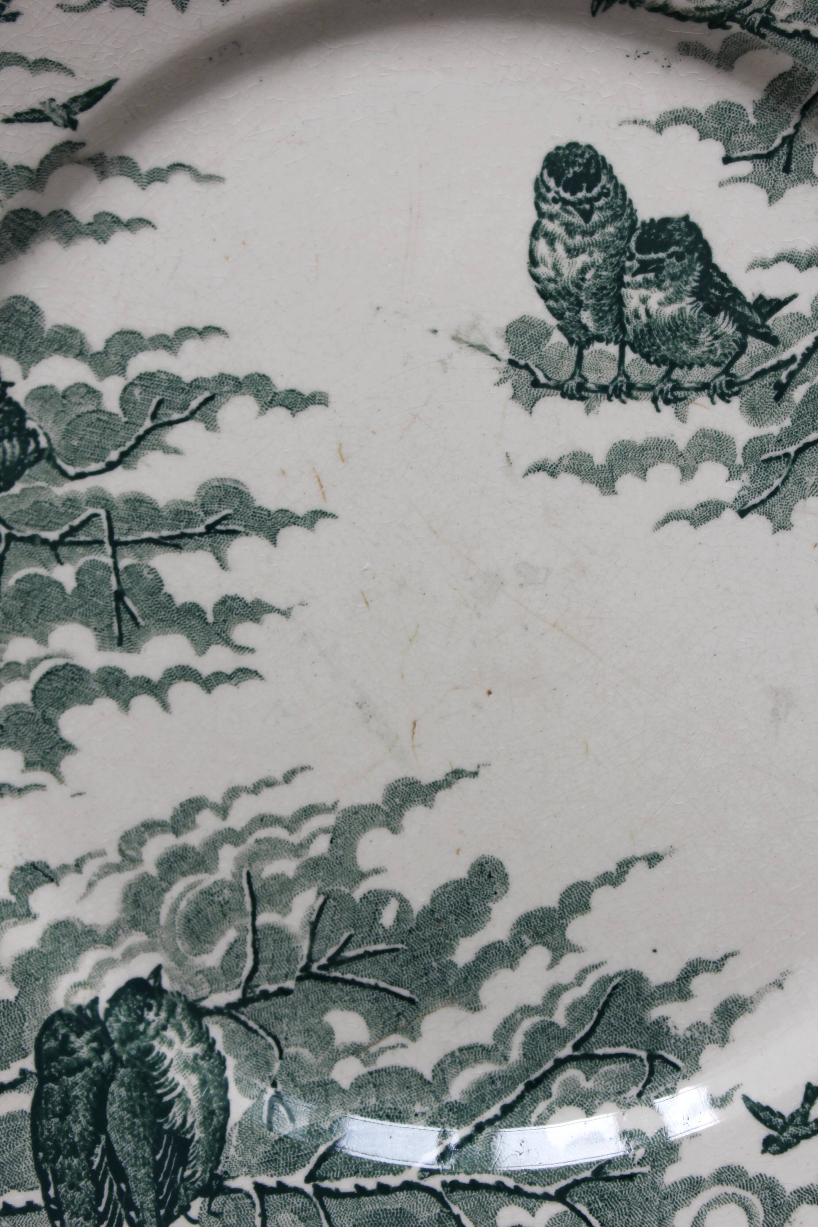 4 assiettes à dessert en terre de fer modèle "Neige" U&C Sarreguemines fin XIXe début XXe siècle