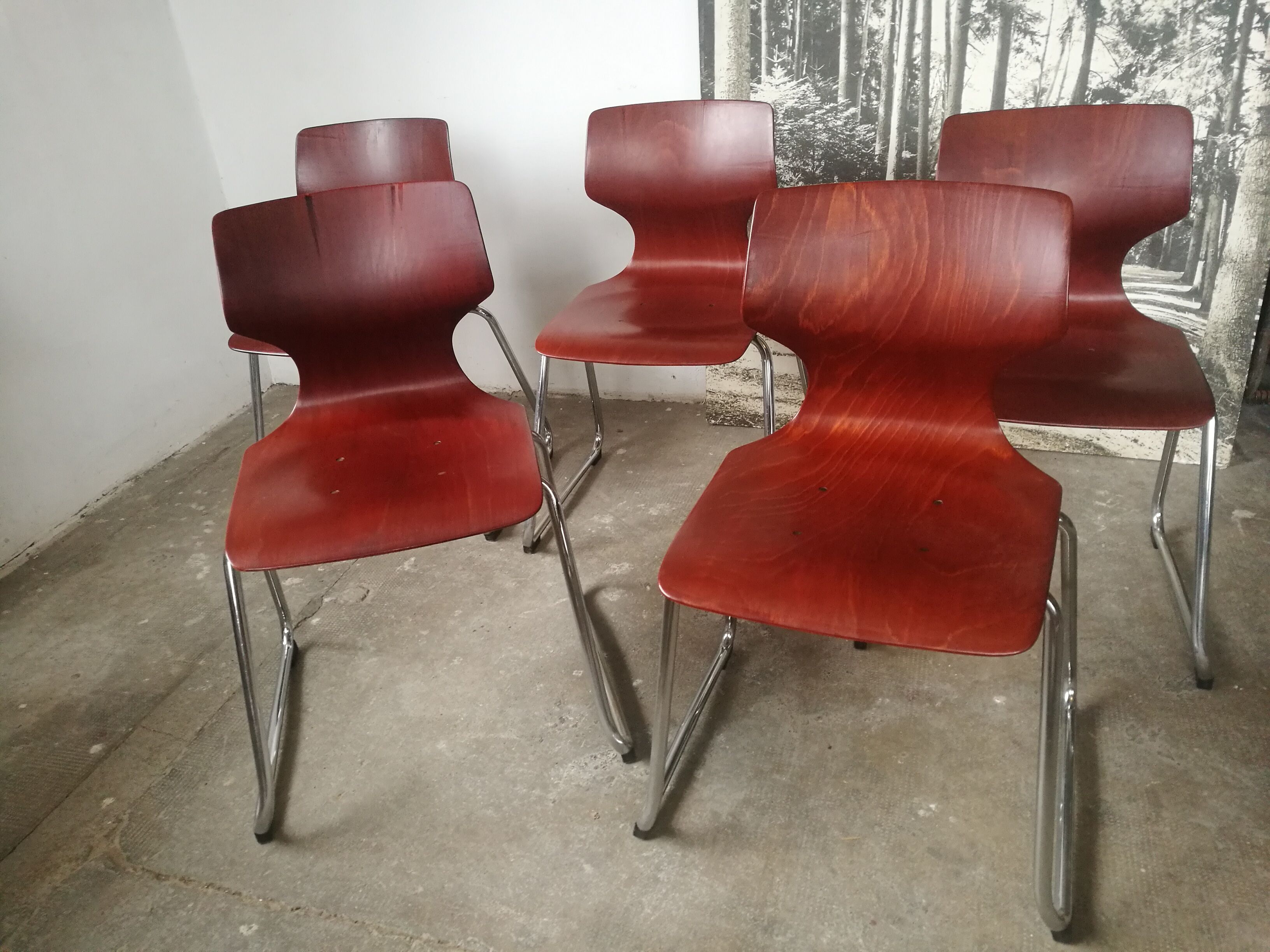 Set of 5 Pagholz / Flototto chairs
