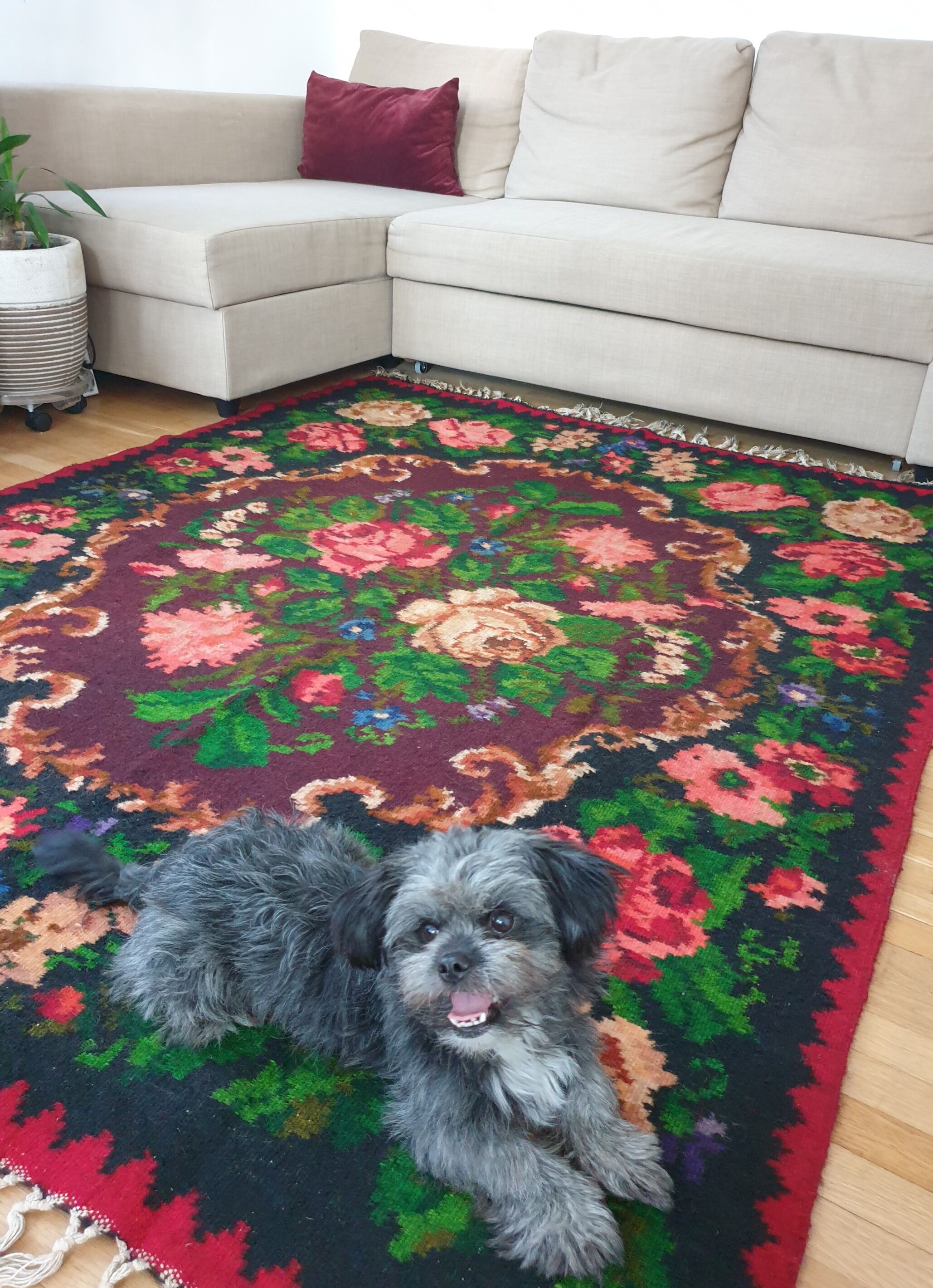 Moldavian wool handwoven floral rug - 210x162cm
