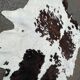 Cow skin