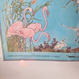 1978 Map of the Camargue by Christine Le Boeuf 72.5 × 52.5 cm