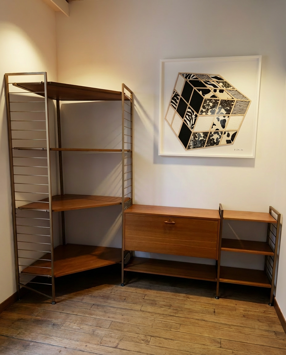 Ladderax Wall Unit - vintage bookshelf