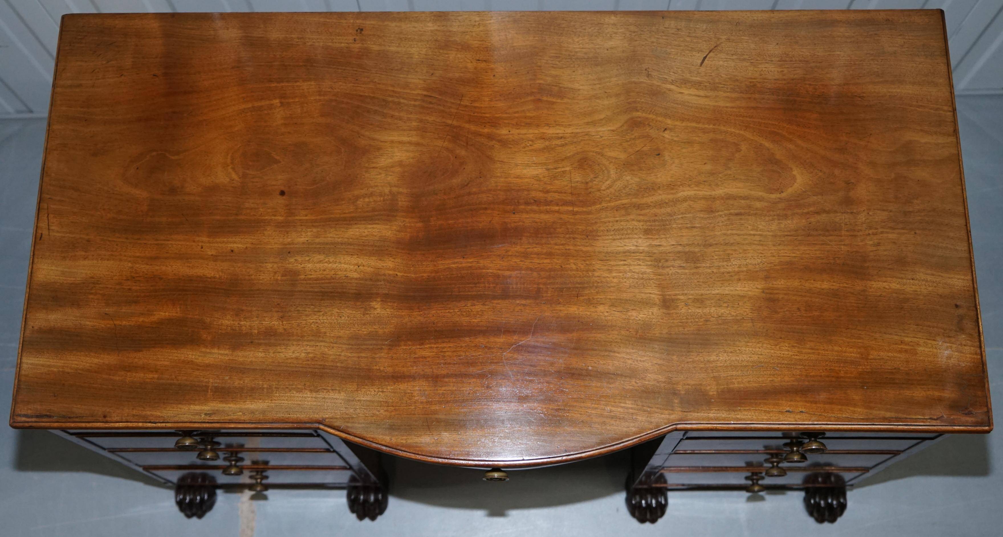 Kneehole Regency Desk 1815 in hardwood with lion paw feet