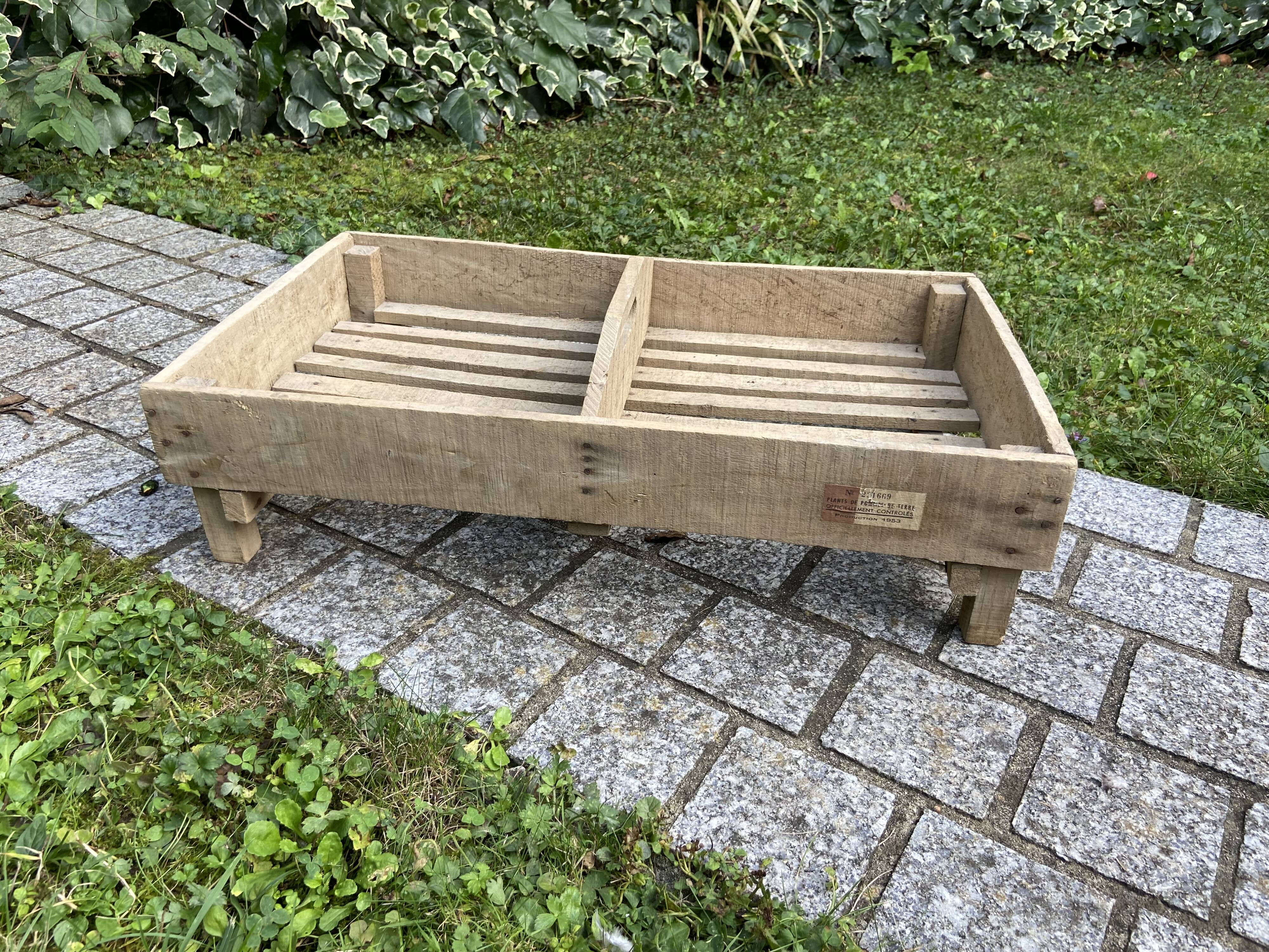 Shelf wooden box primeur decorative top