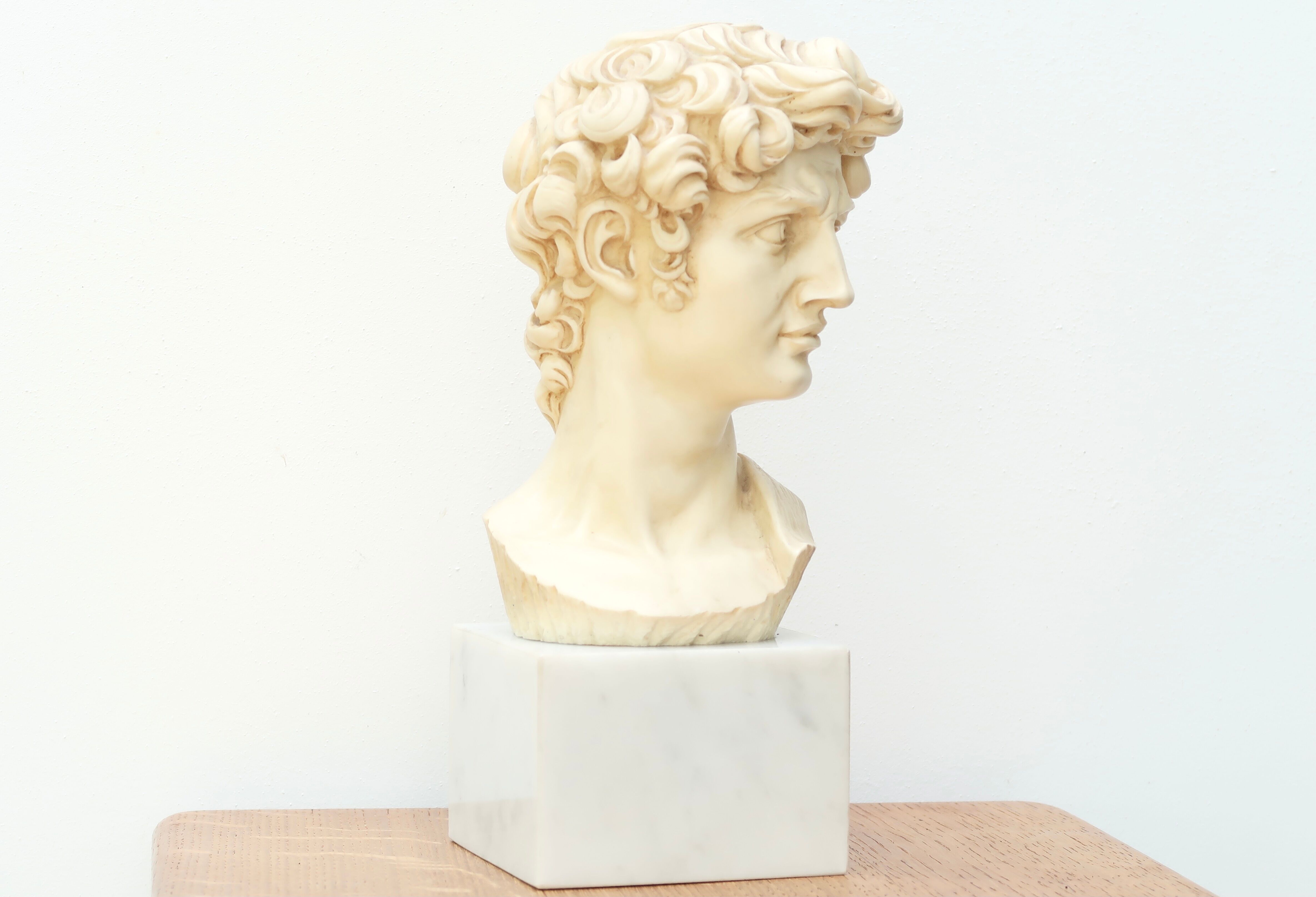 Bust of David by Michelangelo, 50s