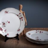 5 flat plates Iron Earth