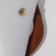 Pair of scandinavian vintage wall lamps in teak and acrylic 1970