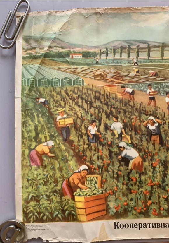 School Educational University Poster Original 1960's Poster Communist Campaign