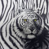 Black and white tiger signed lithograph