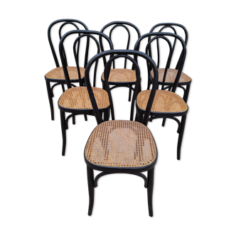 Series of 6 chairs Thonet of 20th century