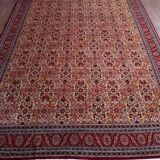 Handmade Shirvan Caucasian Rug 283x200ccm
