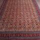 Handmade Shirvan Caucasian Rug 283x200ccm