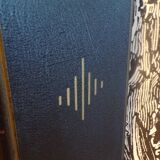 Old fireplace screen in painted sheet metal