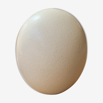 Ostrich egg