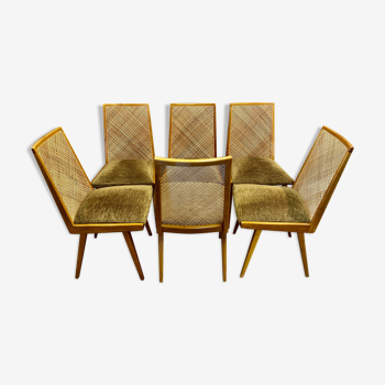 Set of six rattan chairs 1950