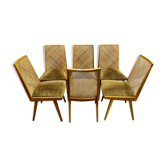 Set of six rattan chairs 1950