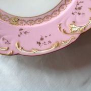 Flat porcelain plate of Limoges of the Haviland Manufacture (19th).