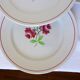 4 K and G Luneville flat plates, Rose Mai model